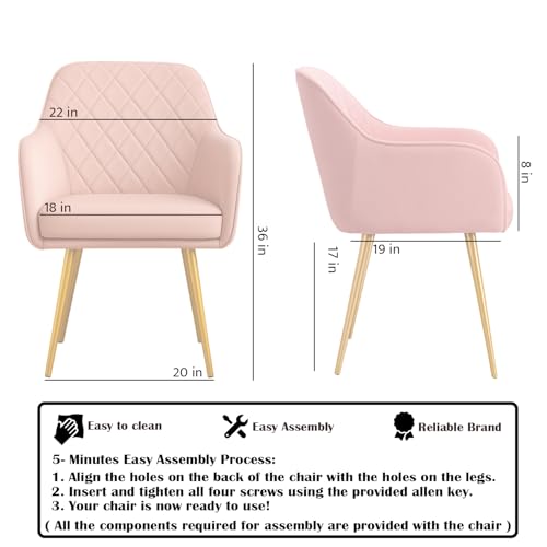 Image of Barfi Velvet Dining Chair | Set of 2 Premium Accent Chair with Armrest, Padded Seat and Metal Legs | Comfy Chair for Home, Office & Restaurents | (Light Grey with Puffy)