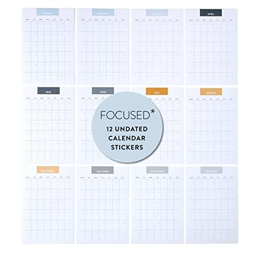 Erin Condren Designer Desk Accessories - Focused Customizable Calendar Stickers. 12 Non-Dated Adhesive Calendars, Measures 6.3" x 4.3 Each. Open-Dated Monthly Planning Stickers