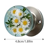 Zoom IMG-1 zwxqe door knob with timeless Zoom IMG-1 zwxqe door knob with timeless