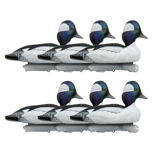 Final Approach Live Bufflehead Floating Duck Decoys, 6 Pack