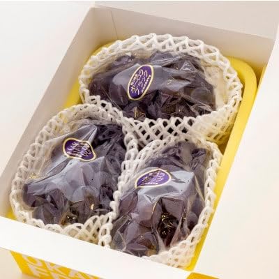 (2026年発送)ご家庭用 岡山県産オーロラブラック(クール便) 約1.2kg(2〜3房)