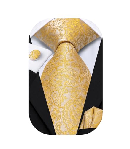 Image of Dubulle Mens Tie Set Solid Paisley Silk Striped Necktie for Men with Cufflinks Tie and Pocket Square