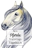 sam artikulator preis  Mein Pferde Trainings Tagebuch