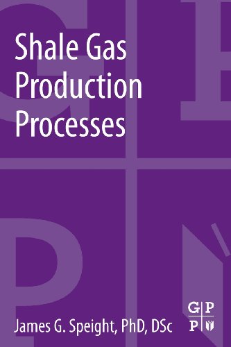 Shale Gas Production Processes view 2