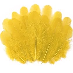Soarer Gold Craft Feathers Bulk for Crafting Supplies,300Pcs,3-5inch | Soft Natural Rooster Feathers for DIY School Crafts,Dream Catchers,Halloween,Mardi Gras,Easter Home Party and Costume Decor