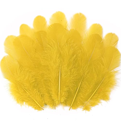 Soarer 300pcs Gold Feathers for Crafts - 3-5inch Craft Feathers Bulk for Wedding Home Party Dream Catcher Supplies and DIY Crafts(Gold)