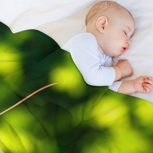 Couverture polaire mante religieuse pour soirées cocooning sur canape et voyage