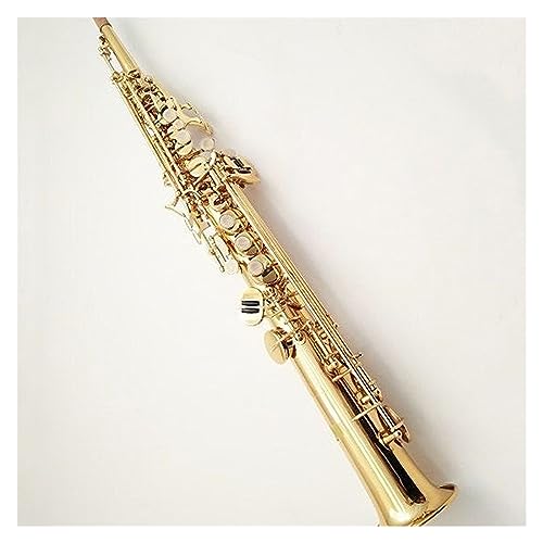 ^JbJ[dグS[hBbXg[gTbNXǊyAP[Xt TbNX Zbg