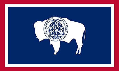 5 in x 3 in Wyoming stato bandiera paraurti