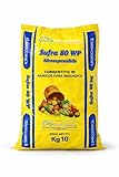 Ossian Zolfo 80 Micronizzato – Polvere Bagnabile – Correttivo Agricoltura Biologica - Effetto Fungicida - Contro Oidio Mal Bianco Peronospora Ticchiolatura per Vite Olivo Agrumi (10 KG)