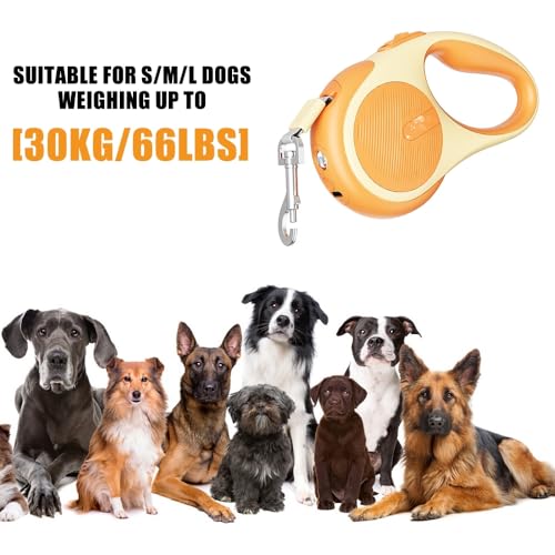 Einziehbare Hundeleine Mit Licht - 3m/5m Ausziehbare Leine für Kleine, Mittelgroße und Große Hunde Bis 30 kg