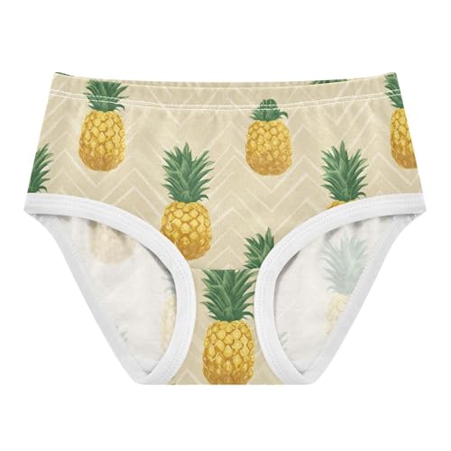 Wusikd Pineapple Geometric Girls' Underwear Cotton Girls Briefs Soft Toddler Underwear 2T - Main Image