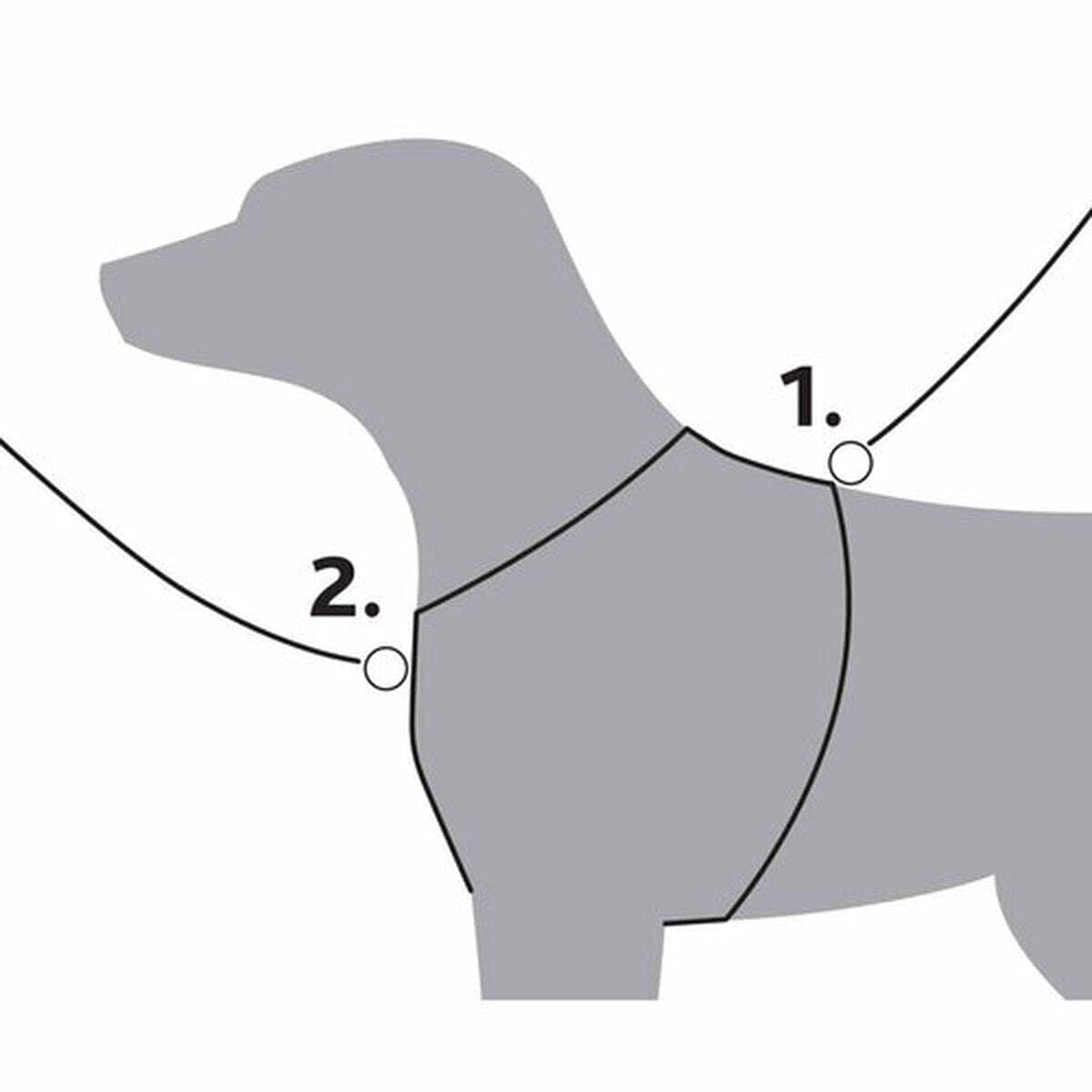 View 4