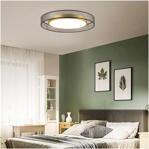 Plafonniers simples modernes à intensité variable pour un éclairage sur mesure - 5