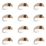 Caddis Larvae 12 Pack – Hand Tied Nymph Flies for Trout Fly Fishing – Realistic Caddis Larva Pattern for Rivers, Creeks & Streams – Premium Subsurface Trout Fly Set (Tan, 14)