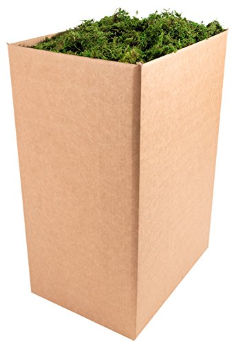 SuperMoss (25327) Forest Moss Preserved, Fresh Green, 10 Pounds