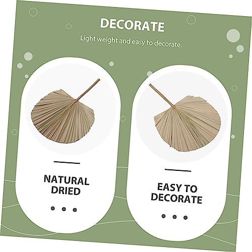 Hoja de Palma Seca Decorativa para Bodas y Eventos miniatura 3