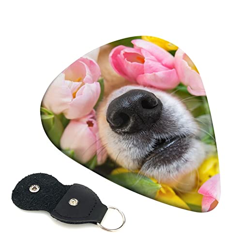 M^[sbN 6Zbg 0.46mm 0.71mm 0.96mm GLM^[ x[XpsbN EN M^[ ABSf GNgbN AR[XeBbN y S gCAO sbNi R[M[̍@ j