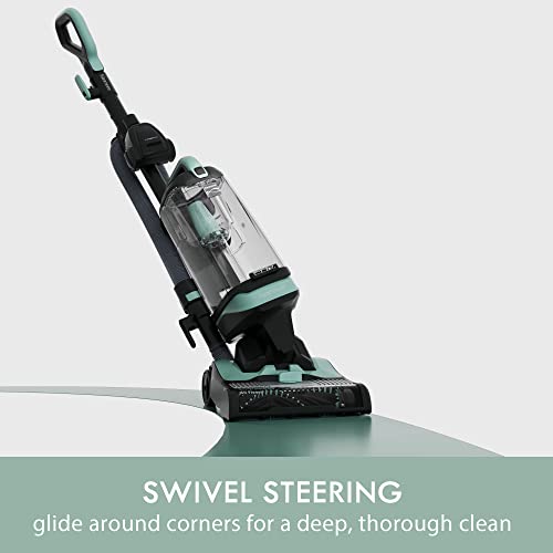 Kenmore DU1275 Bagless Upright Vacuum Lightweight Carpet Cleaner with 4 Height Adjustment, Hair Eliminator brushroll, Pet HandiMate & 2 Cleaning Tools