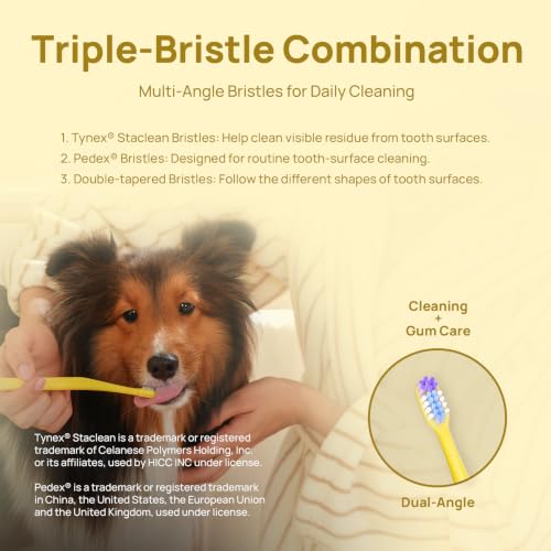 Image of HICC PET Single-Head Toothbrush for Cats & Small Dogs, Easy Teeth Cleaning | Compact Triple-Bristle Head and 16 Ergonomic Handle Make Daily Teeth Cleaning Easier for Cats and Small Dogs After Meals.