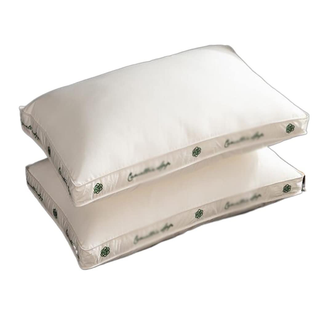 Oreiller brodé en coton confortable : lot de deux oreillers doux pour lit double
