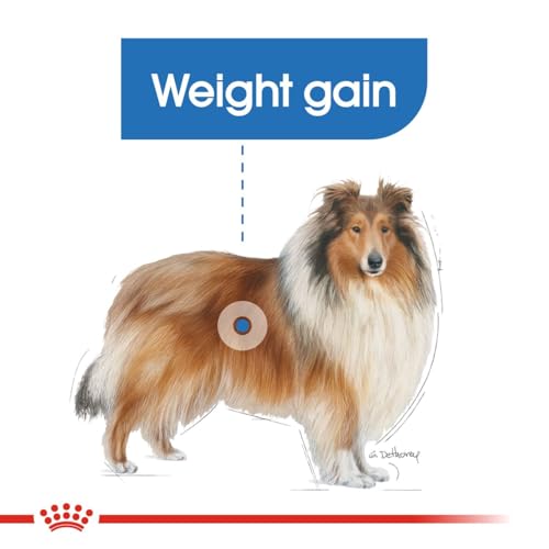 Royal Canin (ROYBJ) Hundefutter Light Weight Care, 1er Pack (1 x 3 kg)