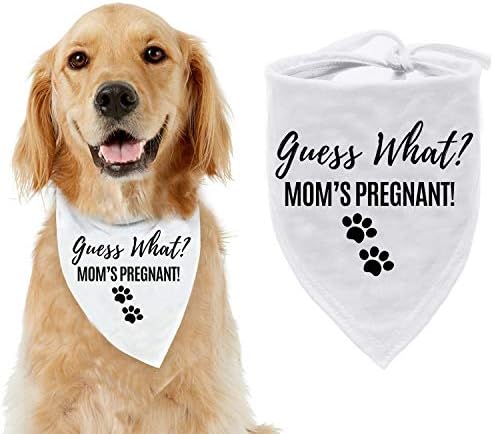 Dog pregnancy announcement bandana Clearance