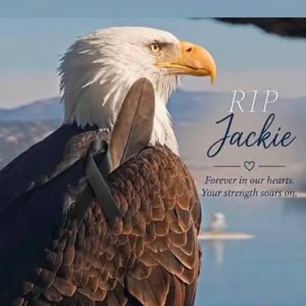 Thank You, Jackie