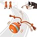 Sofolor Interactive Dog Toys, Motion Activated Dog Ball, Automatic Rolling Ball Toys for Puppy/Small Dogs