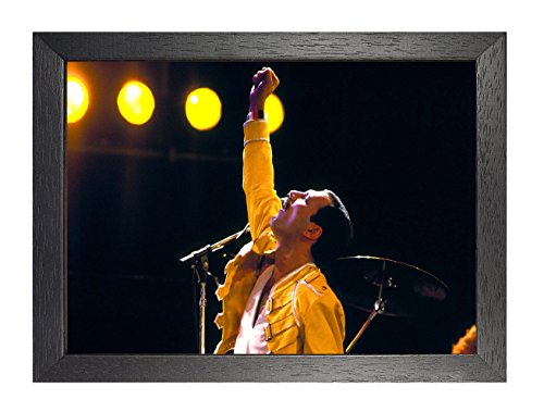 Poster, grande in metallo, motivo: Queen, Freddie