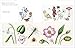 Trish Burr’s Nature Embroidery Transfers: 75 iron-on designs