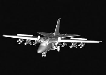 アメリカ軍機4機及びオーストラリア軍F111Cプラモデル F-111C/G アードバーク `オーストラリア空軍` (プラモデル
