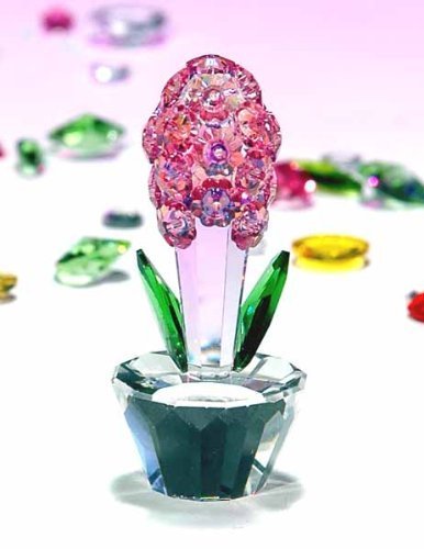 CRYSTAL WORLD Hyacinth - Pink by Crystal World