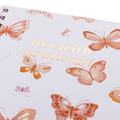 View 4