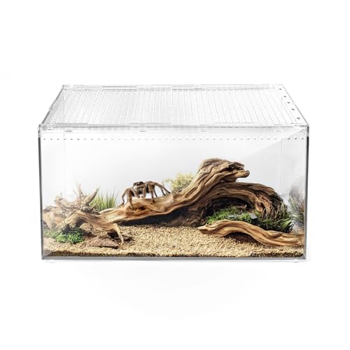 AZV Reptile Terrarium Tank,Versatile Enclosure for Leopard Crested Gecko,Lizard Cage,Spider Starter Kit,Hermit Crab Habitat,Tarantula Cribs,Perfect Aquarium for Snake,Frogs,Snails,Insects,Small Pets