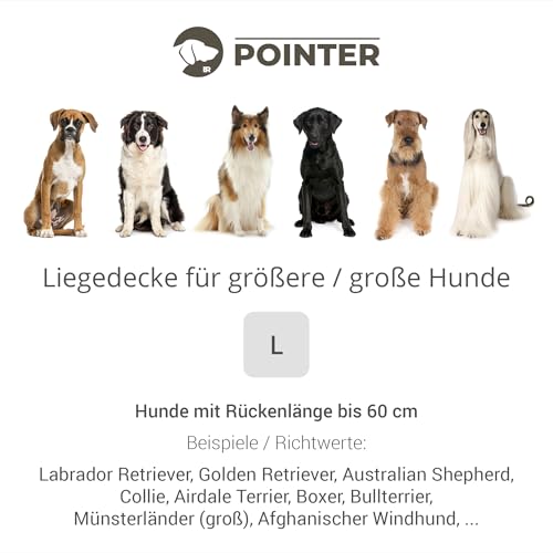 Pointer | Hundedecke 110 x 90 cm, Gepolstert & Strapazierfähig - Hundematte Waschbar bis 95°C, Liegedecke für Boden oder Sofaschutz - Outdoor geeignet (L - 110x90 cm, Hellgrau)