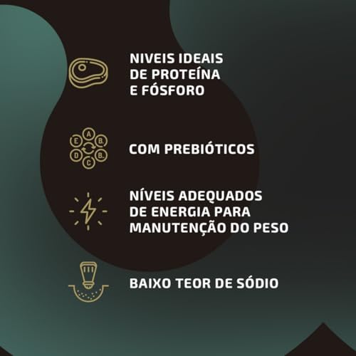 Alimento Em Lata Sênior Para Cães Idosos 280g Papapets