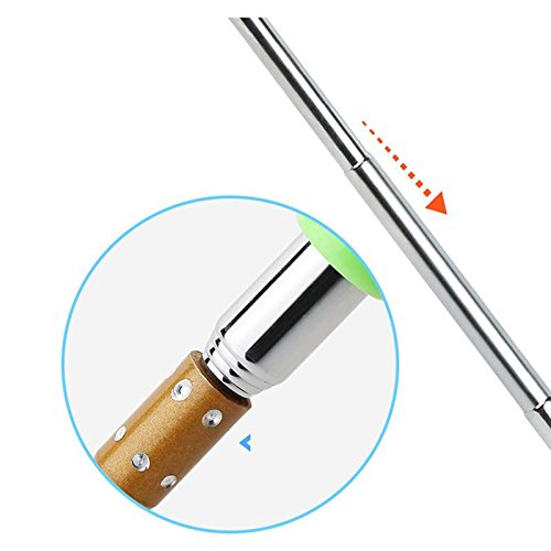Image of Alexvyan Small Adjustable Portable Extendable Back Scratcher, Metal Stainless Steel Telescoping Itching Stick Tool (Pack of 1 - MagnetItching)