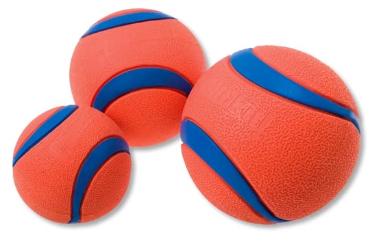Chuckit! Ultra Ball - Spielzeug für Hunde - Doppelpack - 2 x Gr. L 7 cm 1 Pack
