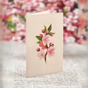 Freshcutpaperpopupcardsjapanesecherryblossoms12inchlifesizedforeverflowerbouquet3dpopupgreetingcardbirthdaycardsvalentinesdaycardblanknotecardenvelope Urban Country Home Decor Freshcut paper pop up cards japanese cherry blossoms 12 inch life sized forever flower bouquet 3d popup greeting card birthday cards valentines day card blank notecard envelope urban country home decor