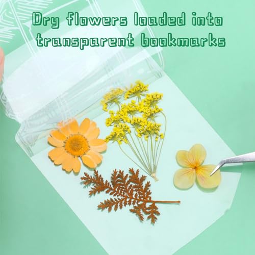 SSKHE 40Pcs Transparent Dried Flower Bookmarks DIY Craft Transparent Wishing Bottle Natural Pressed Flower Bookmarks Handmade Beautiful Floral Pages with Fringe - Image 2