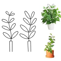 Rankhilfe für Zimmerpflanzen, Garten Pflanzenstütze Rankhilfe, Blumenstütze Gitterspalier, 2 Stück Topfpflanzen Rankgitter, Pflanzkübel Pflanzenkäfige, Kletterhilfe für Pflanzen, Pflanzgitter