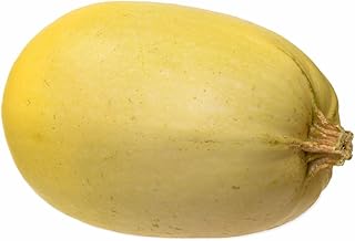 Fresh Spaghetti Squash, 3 Pounds, Golden Yellow, Low-Carb Pasta Alternative