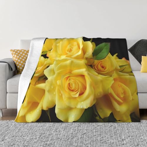 Couverture en microfibre douce toutes saisons pour canapé sofa et lit - 2