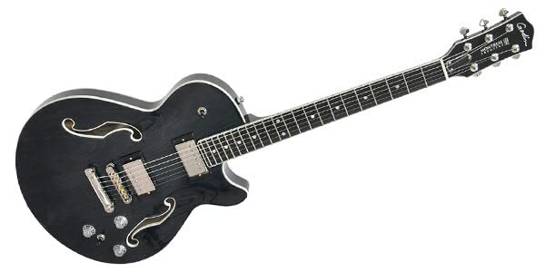 Amazon | GODIN GUITAR（ゴダンギター） Montreal Premiere AE Indigo