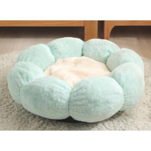 �L�x�b�h ���x�b�h �~�p�y�b�g�n�E�X �ی^ �������p �ӂ�ӂ�ۉ��h�� �h���h�� ����~�� �􂦂� �ό`���ɂ��� ������� (�Ԃ̑��i���� × ���s���N�j,S)