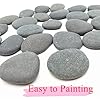 lifetop 50PCS Painting Rocks, Natural DIY Rocks Flat & Smooth Kindness Rocks for Arts, Crafts, Decoration, Medium & Small Rocks for Painting ，1.5"-3"Hand Picked for Painting Rocks #4