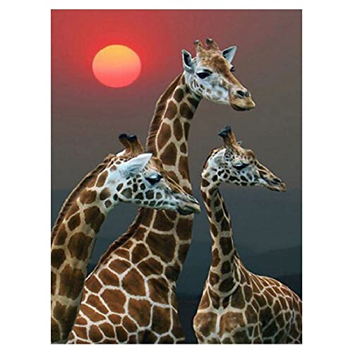 Kit broderie diamant complet grandes girafes pour chambre ado