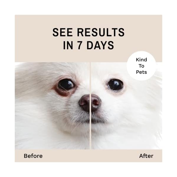 Eye Envy Tear Stain Remover Powder for Dogs and Cats|100% Natural, Safe|Apply around eyes|Absorbs and repels tears|Keeps area dry|Treats the cause of staining|Effective and non-irritating, 4oz Eye Envy Tear Stain Remover Powder for Dogs and Cats|100% Natural, Safe|Apply around eyes|Absorbs and repels tears|Keeps area dry|Treats the cause of staining|Effective and non-irritating, 4oz
