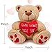 Valentines Day Gifts Teddy Bear Stuffed Animals Plush Bear & Heart, Birthday Gifts for Her Women Girlfriend Wife Mom Kids and Friends on Christmas Valentin's Day Mother's Day Wedding and Anniversary